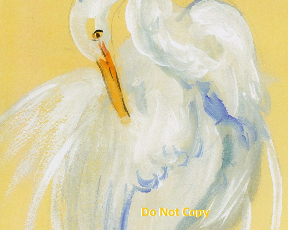 Doris Holman Great-Egret